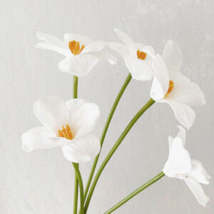 Hoa tulip giả trang trí nhà cửa