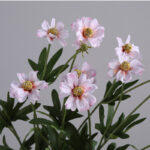 Hoa xuyến chi giả cao cấp