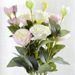 Hoa lan tường giả - hoa cát tường giả trang trí nhà cửa