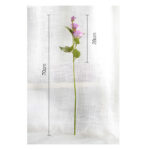 Hoa lan tường giả trang trí nhà cửa cao cấp