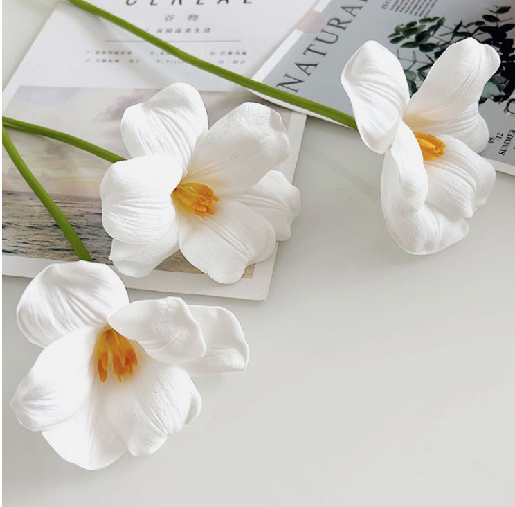 Hoa tuylip giả trang trí nhà cửa