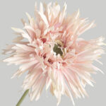 Hoa đồng tiền giả trang trí nhà cửa