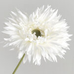 Hoa đồng tiền giả trang trí nhà cửa