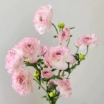 Hoa mao lương giả trang trí nhà cửa