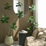 Cây đa giả, cây cảnh giả trang trí nhà cửa