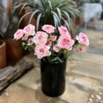 Hoa mao lương giả trang trí nhà cửa