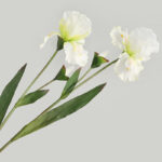 Hoa diên vĩ giả trang trí nhà cửa