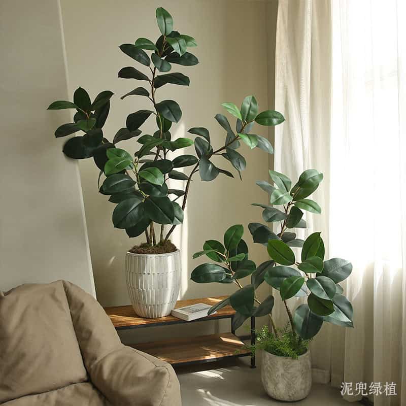 Cây đa giả, cây cảnh giả trang trí nhà cửa Cây đa giả, cây cảnh giả trang trí nhà cửa