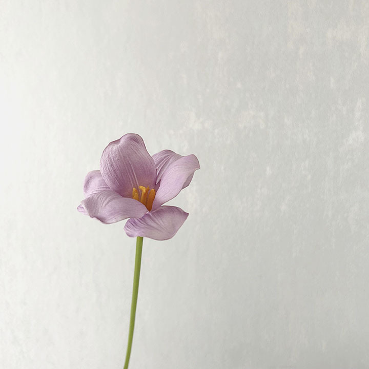 Hoa tuylip giả trang trí nhà cửa