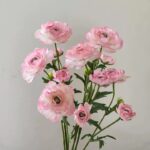 Hoa mao lương giả trang trí nhà cửa