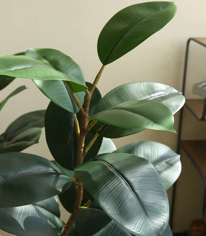 Cây đa giả, cây cảnh giả trang trí nhà cửa