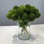 Hoa green wicky giả cao cáp trang trí nhà cửa