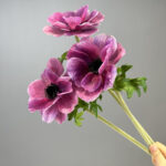 Hoa hải quỳ giả cao cấp