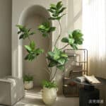 Cây đa giả, cây cảnh giả trang trí nhà cửa