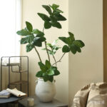 Cây đa giả, cây cảnh giả trang trí nhà cửa