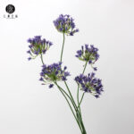 Hoa Thanh anh giả trang trí nhà cửa