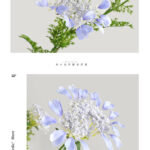 Hoa ren nữ hoàng giả trang trí nhà cửa