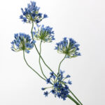 Hoa Thanh anh giả trang trí nhà cửa