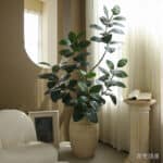 Cây đa giả, cây cảnh giả trang trí nhà cửa