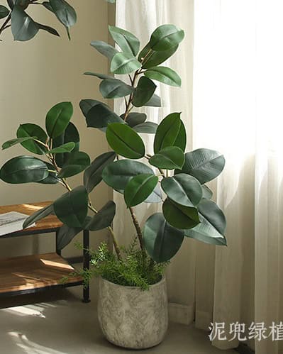 Cây đa giả, cây cảnh giả trang trí nhà cửa