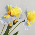 Hoa diên vĩ giả trang trí nhà cửa