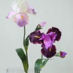 Hoa diên vĩ giả trang trí nhà cửa