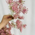 Hoa tiểu hồi hương giả trang trí nhà cửa