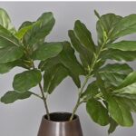 Cành bàng Singapo giả cao cấp