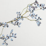 Cành việt quất giả