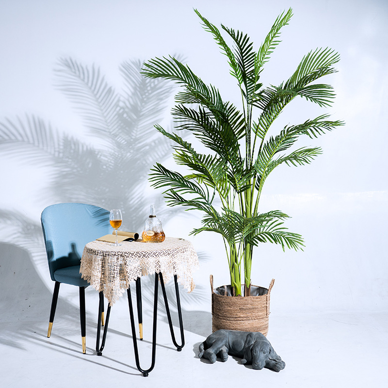 Cây cau giả Cây cau giả