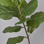 Cành bàng Singapo giả cao cấp