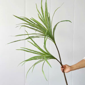 Cành máu rồng giả