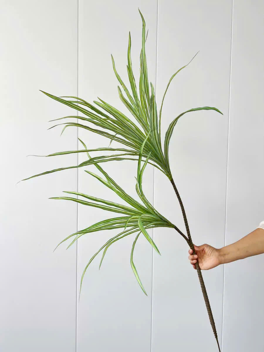 Cành máu rồng giả Cành máu rồng giả