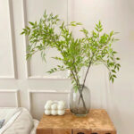 Cành thiên trúc giả