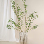 Cành thạch nam giả