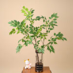 Cành hạnh phúc giả