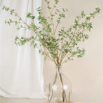 Cành thạch nam giả