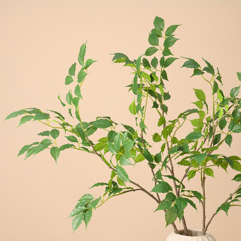 Cành hạnh phúc giả