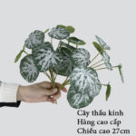 Cây giả nhỏ để bàn - trang trí tiểu cảnh