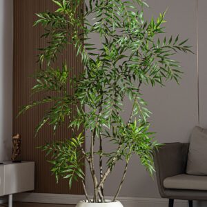 Cây hoàng liên nhiều nhánh giả