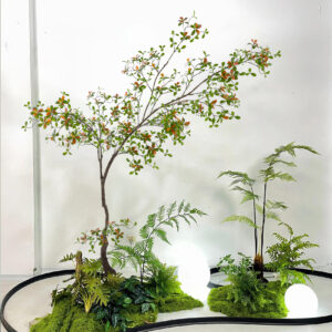 Cây hải đào giả cao cấp