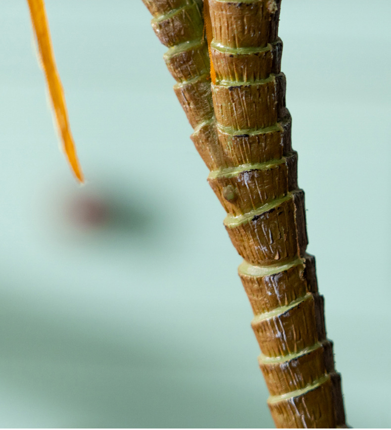 Cây huyết rồng giả