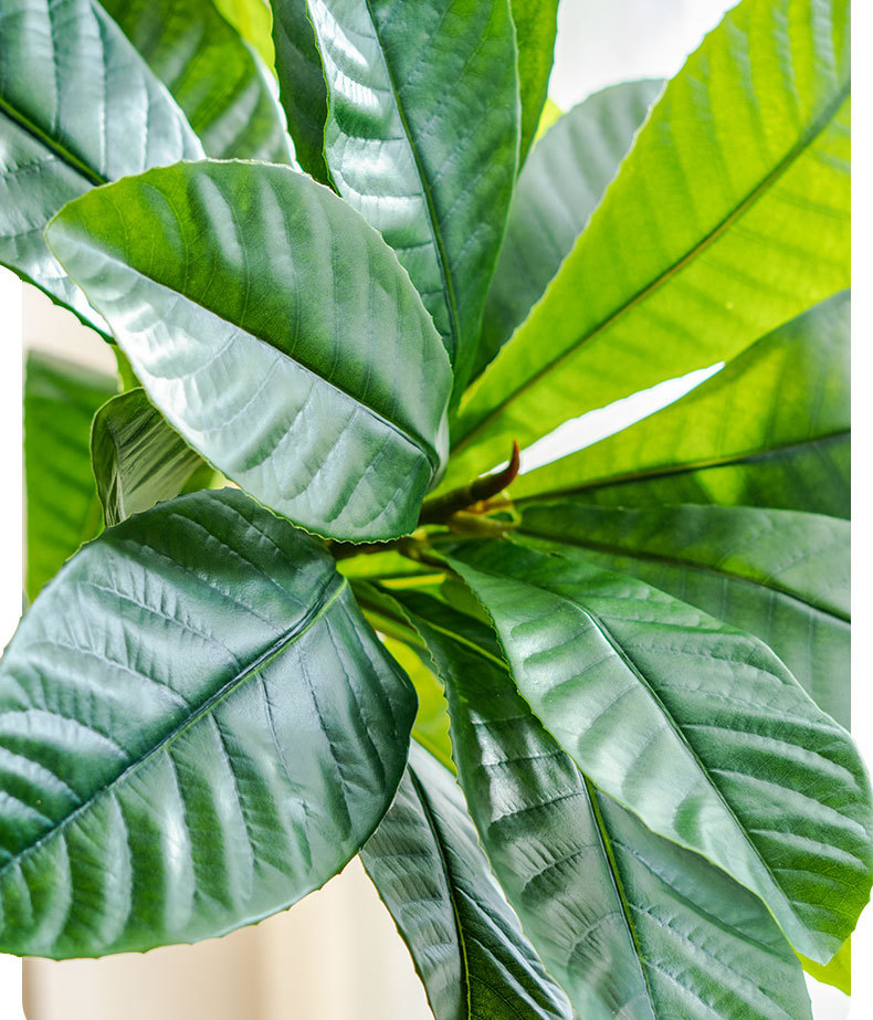 Cây sơn trà giả cao cấp