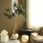 Chậu nhựa trồng cây cao cấp