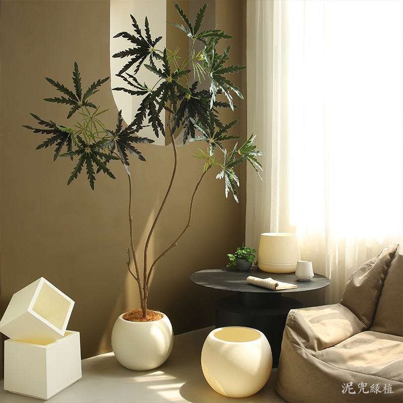 Chậu nhựa trồng cây cao cấp Chậu nhựa trồng cây cao cấp