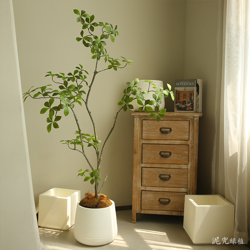 Chậu nhựa trồng cây cao cấp