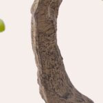 Cây hải đào giả cao cấp