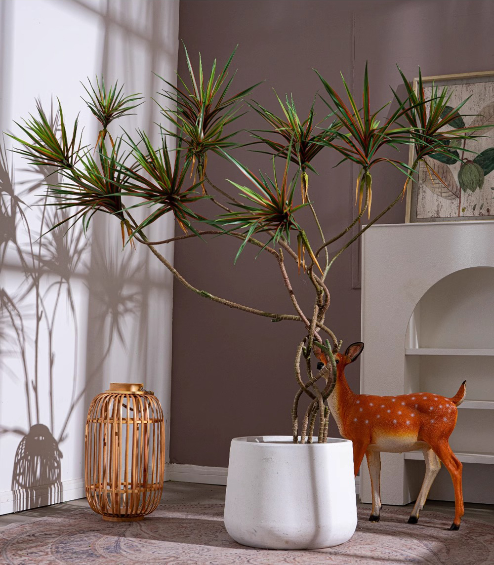 Cây huyết rồng giả