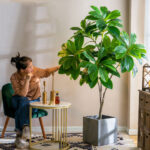 Cây sơn trà giả cao cấp