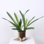 Cây giả nhỏ trang trí tiểu cảnh